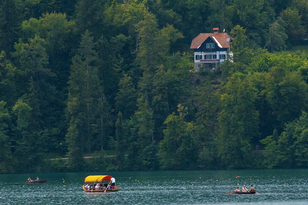 Vila Sovica Bled Exteriér fotografie